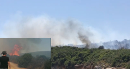Özbek Eğriliman’da korkutan yangın! Kontrol altına alındı