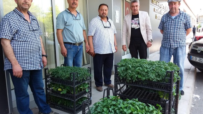 İzmir Büyükşehir Belediyesi’nden sebze fidesi dağıtımı!